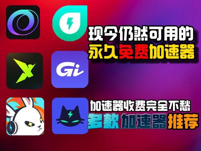 这有网加速器，这有网加速器免费入口