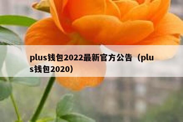 [plustoken国际钱包]plustoken钱包全球中文社区网面更新了