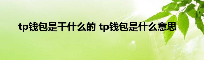 [tp钱包会跑路吗]tp钱包如果跑路币还在吗