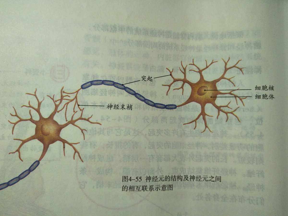 [电报性语言是小脑]电报式语言的特征是什么基本上是由实词构成的简单句