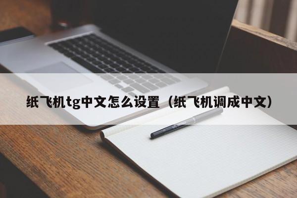苹果手机纸飞机怎么转换中文，iphone纸飞机怎么设置中文