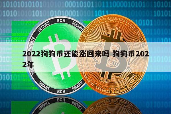 2019年狗狗币价格，2021年初狗狗币价格