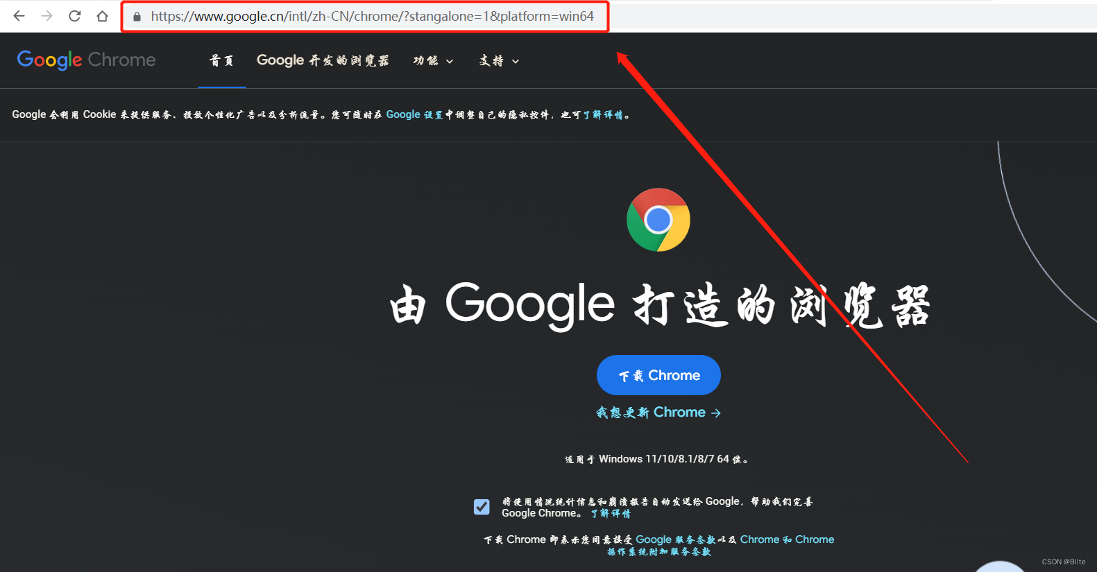 安装chrome浏览器的方法，如何安装google chrome浏览器