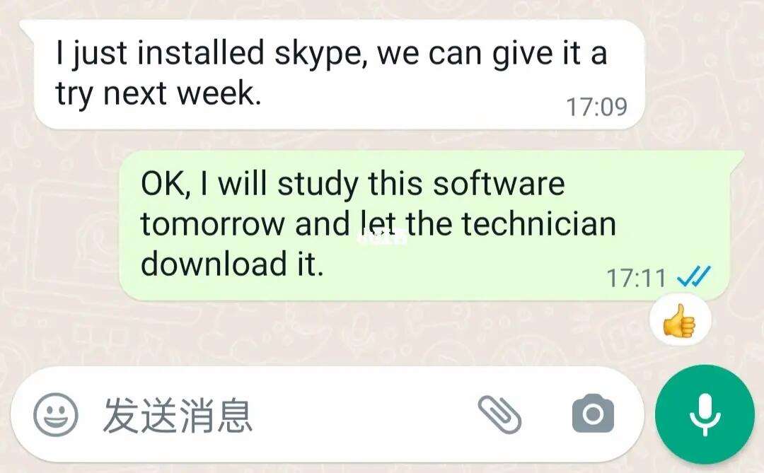 skype什么意思英语，skype什么意思中文翻译