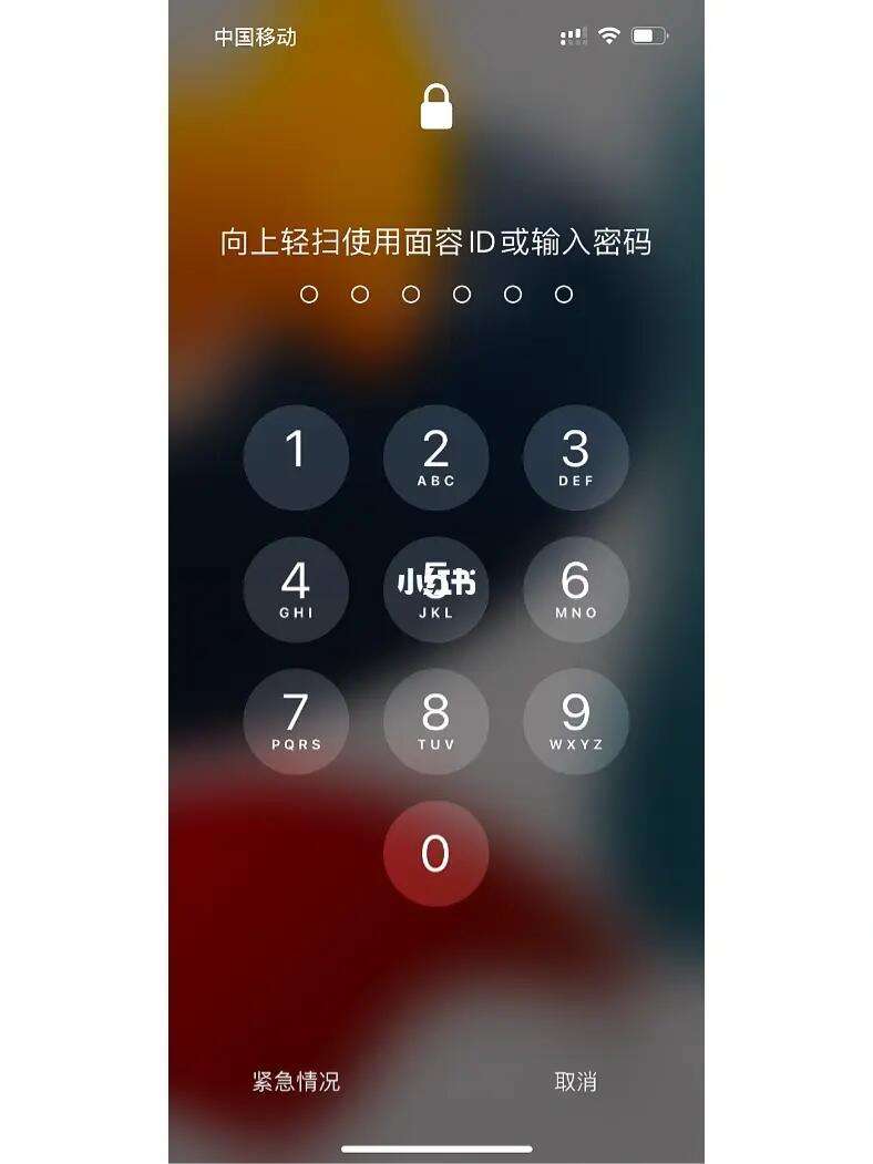 iphone钱包密码忘了怎么办，苹果手机钱包密码忘了手机打不开了