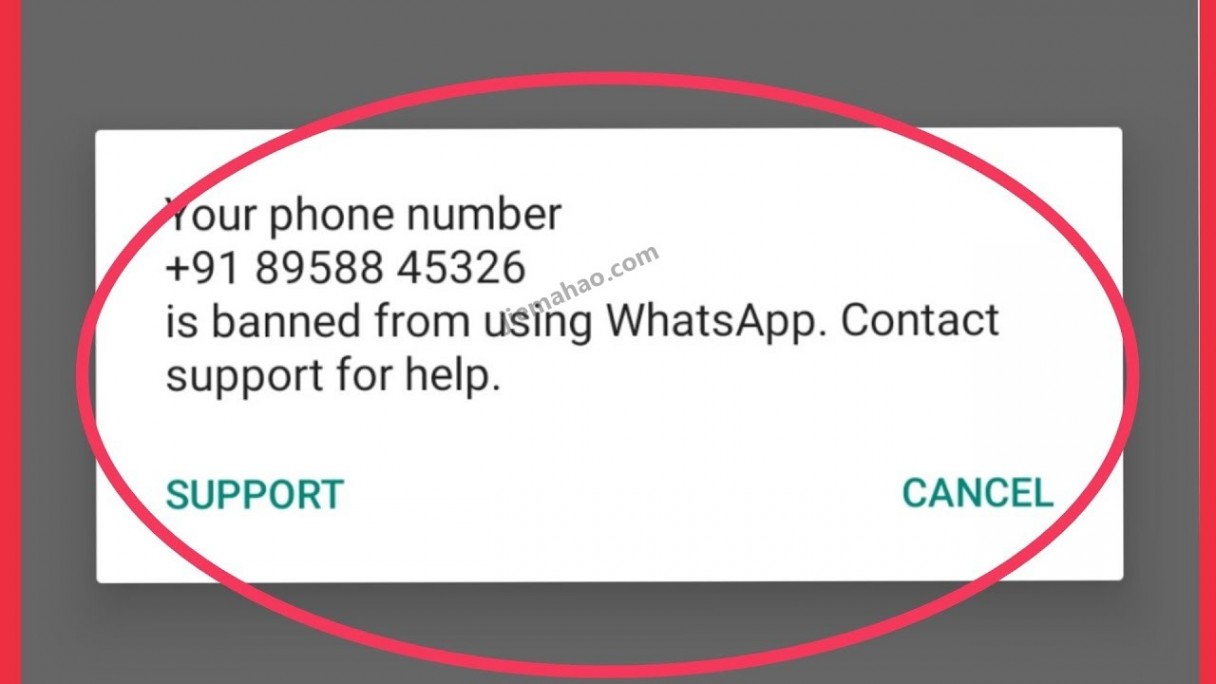 whatsapp国内能用吗，whatsapp国内能用吗?