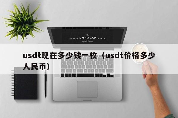 usdt中文名怎么读，usdt币中文叫什么币