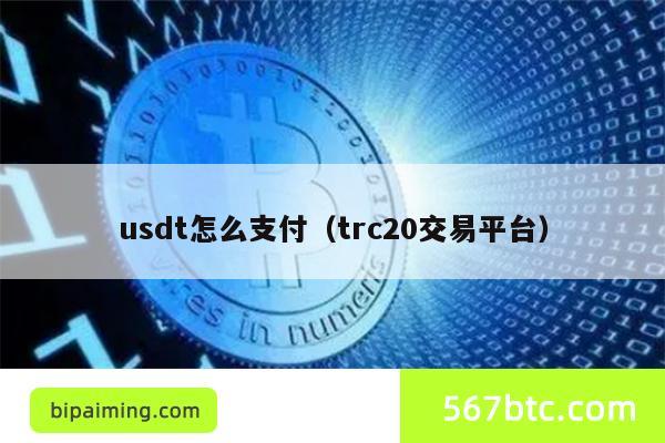 usdttrc20钱包，usdttrc20钱包下载官网