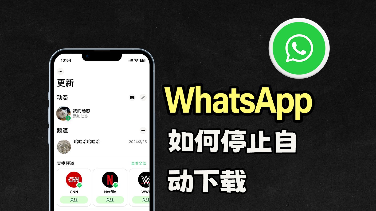 whatsapp下载安卓新版，whatsapp下载安卓新版2024