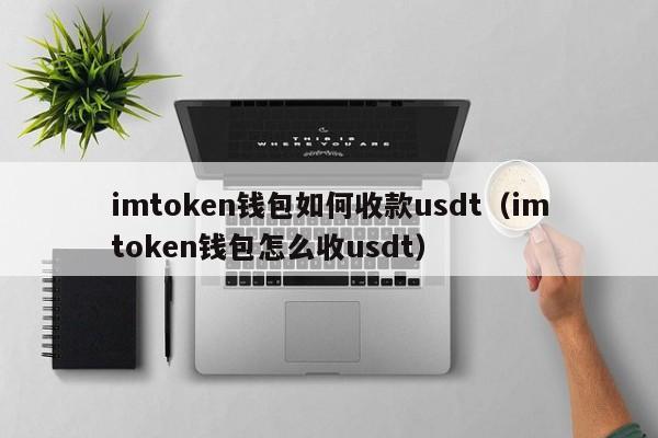 token钱包api接口，token packet钱包