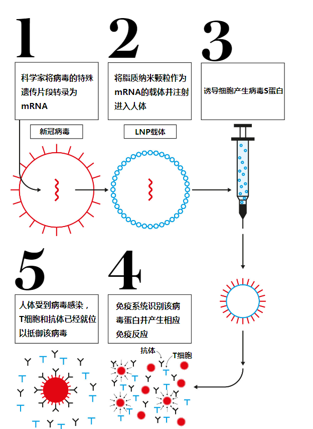 telegraph的用法，using telegraphic language