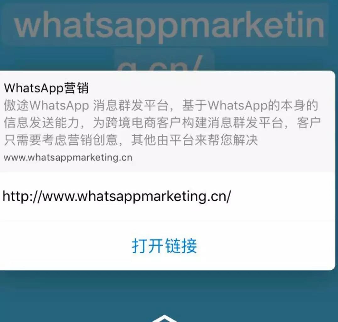 whatsapp怎样读，whatsapp怎么中英文互译