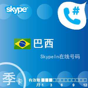 skype充值，Skype充值后多久收到发票邮件