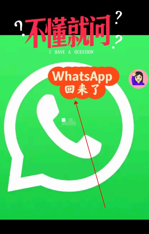 whatsapp安卓下载安装流程，whatsapp安卓版下载最新版本下载