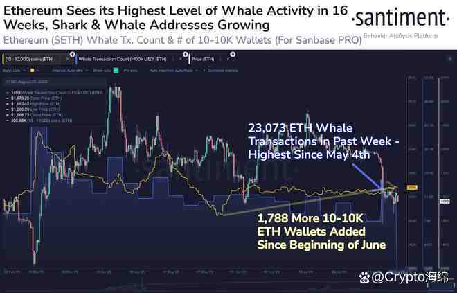 ethereumwallet打不开的简单介绍