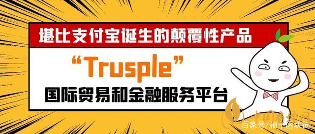 trusple平台官网下载，trustaccess官网下载