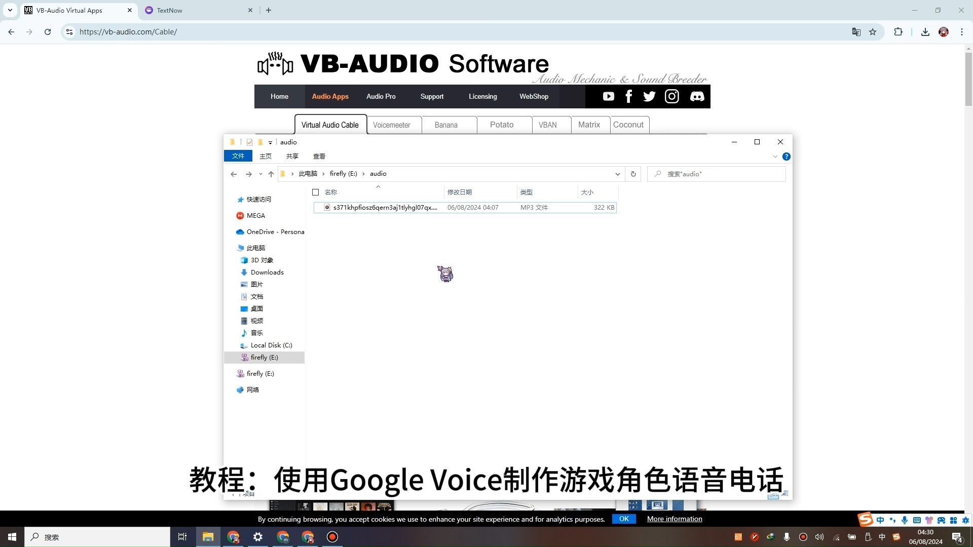 googlevoice注册教程，google voice免费注册