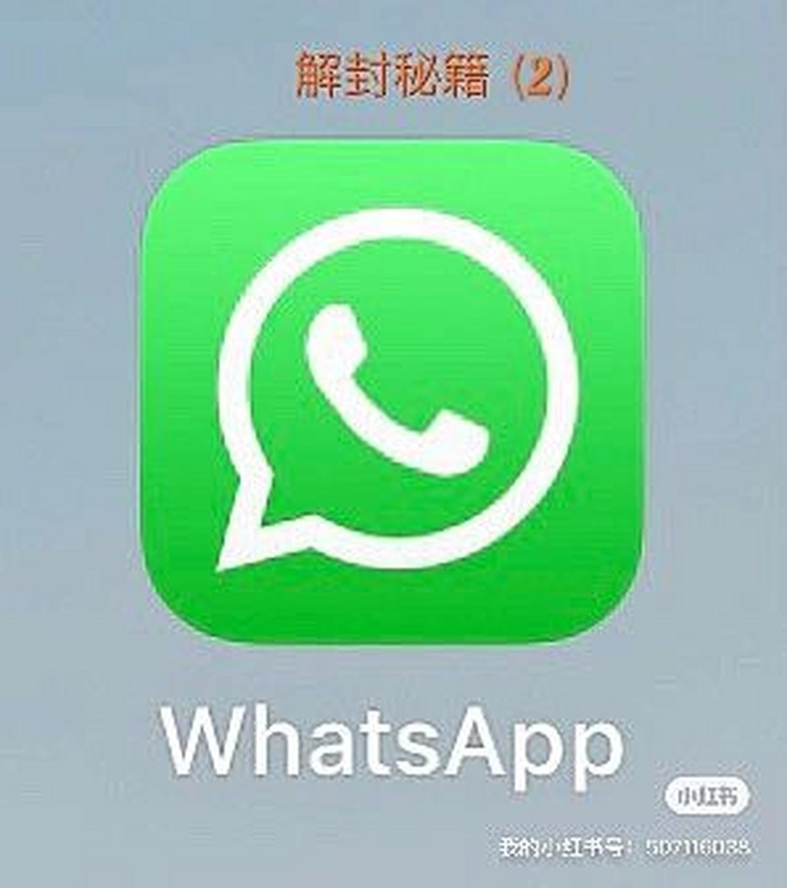 whatsapp官方网下载，whatsapp官方网下载苹果