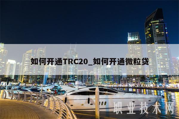 token钱包没有trc20，tokenpocket钱包没有收到币