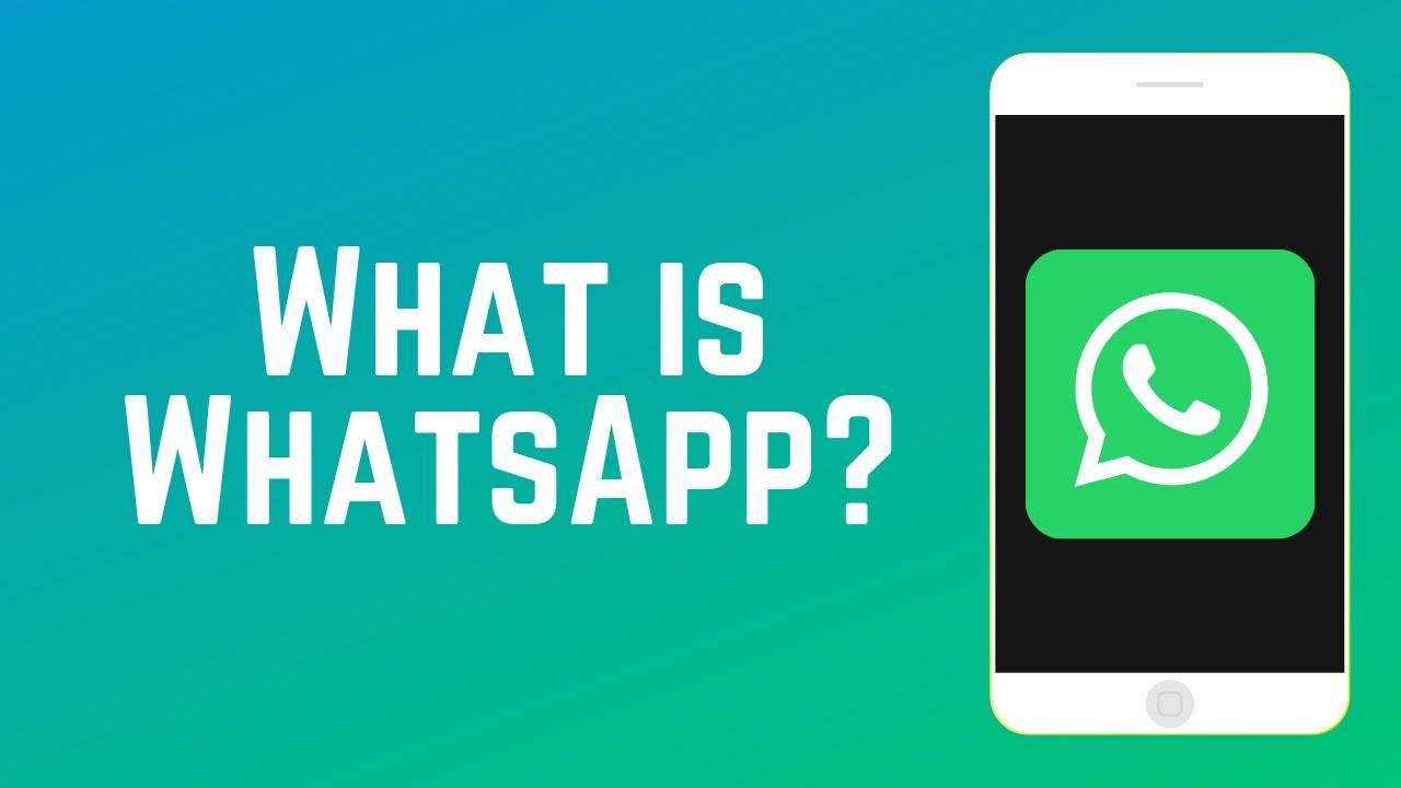 whatsapp软件介绍，whatsappapplicationdownload